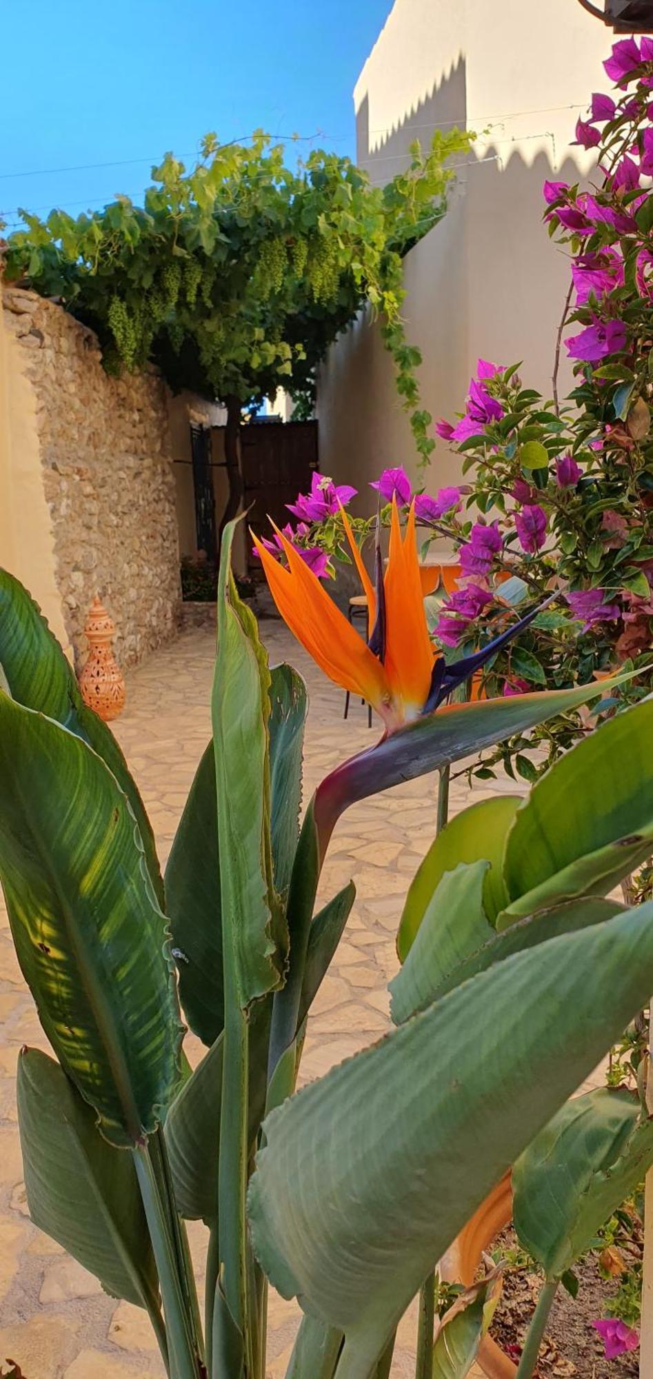 El Jardin Secreto Apartment Oria Exterior foto